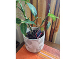 Solar Soil Sensor